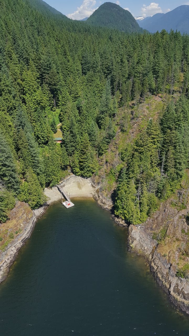 Fernlee Cove Cabin — photo 1
