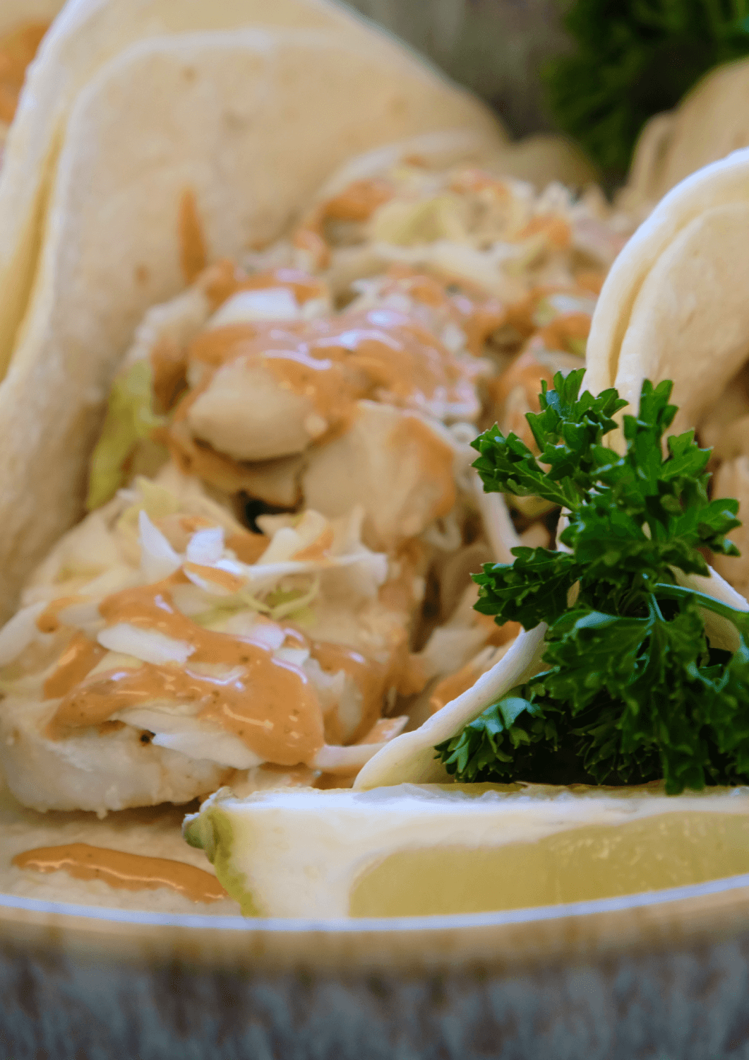 The Crab Shop — photo 2